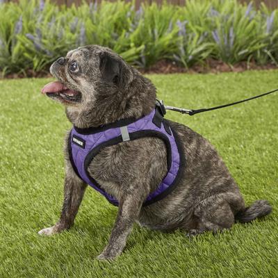 Show full view: Best Pet Supplies Voyager Padded Faux Leather Dog Harness, Purple, Large slide 7 of 11