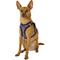 Show in main carousel: Best Pet Supplies Voyager Padded Faux Leather Dog Harness, Purple, Small slide 5 of 11
