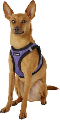 Show full view: Best Pet Supplies Voyager Padded Faux Leather Dog Harness, Purple, Small slide 5 of 11