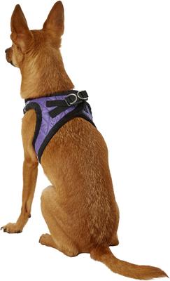 Show full view: Best Pet Supplies Voyager Padded Faux Leather Dog Harness, Purple, Small slide 6 of 11