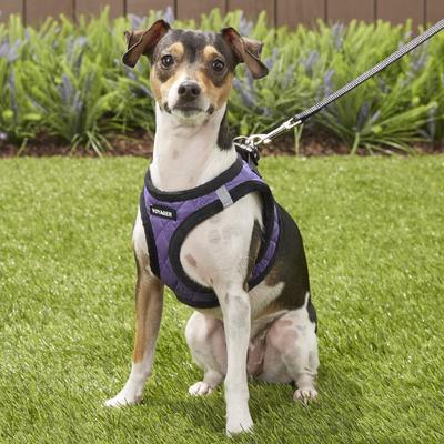 Show full view: Best Pet Supplies Voyager Padded Faux Leather Dog Harness, Purple, Small slide 7 of 11