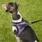 Show in main carousel: Best Pet Supplies Voyager Padded Faux Leather Dog Harness, Purple, Small slide 8 of 11