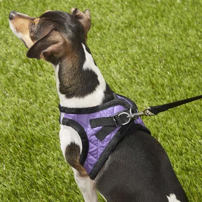 Show full view: Best Pet Supplies Voyager Padded Faux Leather Dog Harness, Purple, Small slide 8 of 11