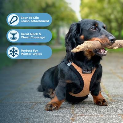 Show full view: Best Pet Supplies Voyager Padded Fleece Dog Harness, Beige, Medium slide 3 of 12