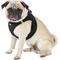 Show in main carousel: Best Pet Supplies Voyager Padded Fleece Dog Harness, Black, Large slide 5 of 11