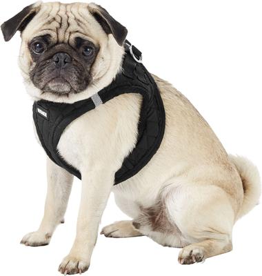 Show full view: Best Pet Supplies Voyager Padded Fleece Dog Harness, Black, Large slide 5 of 11