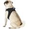Show in main carousel: Best Pet Supplies Voyager Padded Fleece Dog Harness, Black, Large slide 6 of 11