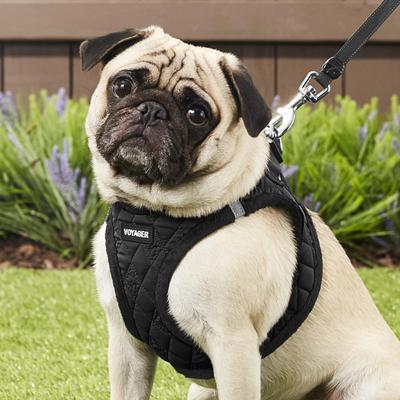 Show full view: Best Pet Supplies Voyager Padded Fleece Dog Harness, Black, Large slide 7 of 11