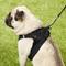 Show in main carousel: Best Pet Supplies Voyager Padded Fleece Dog Harness, Black, Large slide 8 of 11