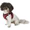 Show in main carousel: Best Pet Supplies Voyager Padded Fleece Dog Harness, Red, X-Small slide 3 of 11