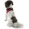 Show in main carousel: Best Pet Supplies Voyager Padded Fleece Dog Harness, Red, X-Small slide 4 of 11