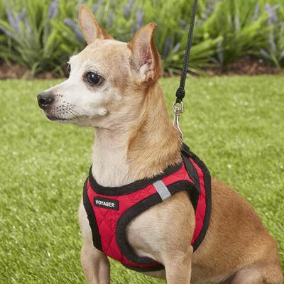Show full view: Best Pet Supplies Voyager Padded Fleece Dog Harness, Red, X-Small slide 5 of 11