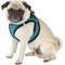 Show in main carousel: Best Pet Supplies Voyager Padded Fleece Dog Harness, Turquoise, Large slide 5 of 11