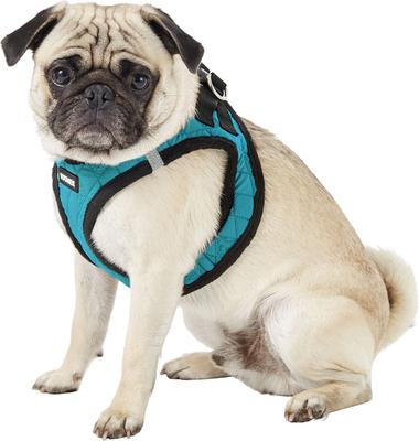 Show full view: Best Pet Supplies Voyager Padded Fleece Dog Harness, Turquoise, Large slide 5 of 11