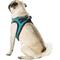 Show in main carousel: Best Pet Supplies Voyager Padded Fleece Dog Harness, Turquoise, Large slide 6 of 11