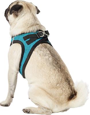 Show full view: Best Pet Supplies Voyager Padded Fleece Dog Harness, Turquoise, Large slide 6 of 11
