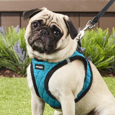 Show full view: Best Pet Supplies Voyager Padded Fleece Dog Harness, Turquoise, Large slide 7 of 11