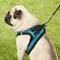 Show in main carousel: Best Pet Supplies Voyager Padded Fleece Dog Harness, Turquoise, Large slide 8 of 11