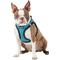 Show in main carousel: Best Pet Supplies Voyager Padded Fleece Dog Harness, Turquoise, Medium slide 5 of 11