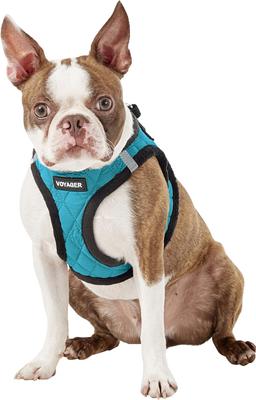 Show full view: Best Pet Supplies Voyager Padded Fleece Dog Harness, Turquoise, Medium slide 5 of 11