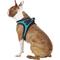 Show in main carousel: Best Pet Supplies Voyager Padded Fleece Dog Harness, Turquoise, Medium slide 6 of 11