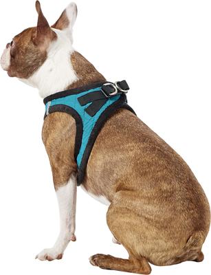 Show full view: Best Pet Supplies Voyager Padded Fleece Dog Harness, Turquoise, Medium slide 6 of 11