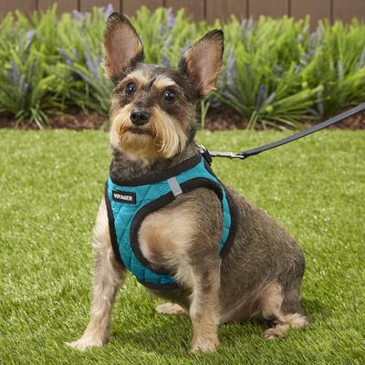 Show full view: Best Pet Supplies Voyager Padded Fleece Dog Harness, Turquoise, Medium slide 7 of 11