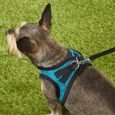 Show full view: Best Pet Supplies Voyager Padded Fleece Dog Harness, Turquoise, Medium slide 8 of 11