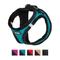 Show in main carousel: Best Pet Supplies Voyager Padded Fleece Dog Harness, Turquoise, Small slide 4 of 12