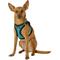 Show in main carousel: Best Pet Supplies Voyager Padded Fleece Dog Harness, Turquoise, Small slide 6 of 12
