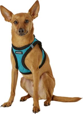 Show full view: Best Pet Supplies Voyager Padded Fleece Dog Harness, Turquoise, Small slide 6 of 12