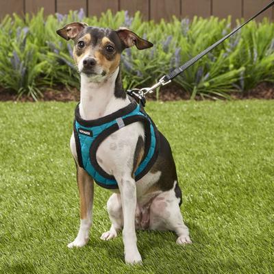 Show full view: Best Pet Supplies Voyager Padded Fleece Dog Harness, Turquoise, Small slide 8 of 12