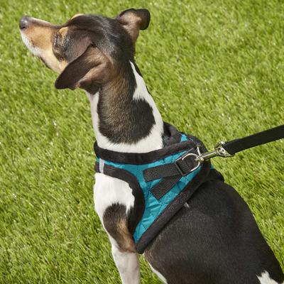 Show full view: Best Pet Supplies Voyager Padded Fleece Dog Harness, Turquoise, Small slide 9 of 12