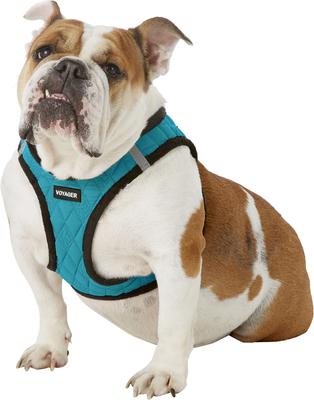 Show full view: Best Pet Supplies Voyager Padded Fleece Dog Harness, Turquoise, X-Large slide 3 of 11