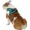 Show in main carousel: Best Pet Supplies Voyager Padded Fleece Dog Harness, Turquoise, X-Large slide 4 of 11