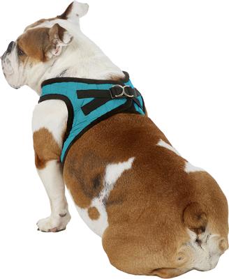 Show full view: Best Pet Supplies Voyager Padded Fleece Dog Harness, Turquoise, X-Large slide 4 of 11