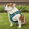 Show in main carousel: Best Pet Supplies Voyager Padded Fleece Dog Harness, Turquoise, X-Large slide 5 of 11