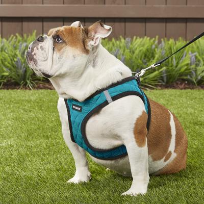 Show full view: Best Pet Supplies Voyager Padded Fleece Dog Harness, Turquoise, X-Large slide 5 of 11