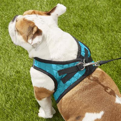 Show full view: Best Pet Supplies Voyager Padded Fleece Dog Harness, Turquoise, X-Large slide 6 of 11