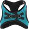Show in main carousel: Best Pet Supplies Voyager Padded Fleece Dog Harness, Turquoise, X-Large slide 8 of 11