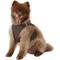 Show in main carousel: Best Pet Supplies Voyager Plush Suede Dog Harness, Chocolate, Large slide 5 of 11