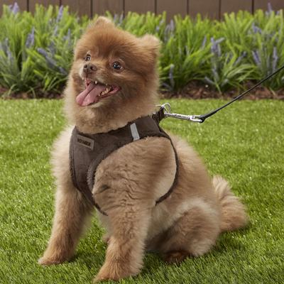 Show full view: Best Pet Supplies Voyager Plush Suede Dog Harness, Chocolate, Large slide 7 of 11