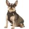 Show in main carousel: Best Pet Supplies Voyager Plush Suede Dog Harness, Chocolate, Medium slide 6 of 12