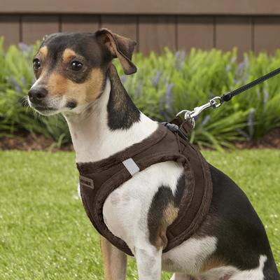 Show full view: Best Pet Supplies Voyager Plush Suede Dog Harness, Chocolate, Small slide 8 of 12