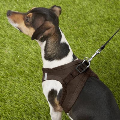 Show full view: Best Pet Supplies Voyager Plush Suede Dog Harness, Chocolate, Small slide 9 of 12