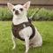Show in main carousel: Best Pet Supplies Voyager Plush Suede Dog Harness, Chocolate, X-Small slide 7 of 11