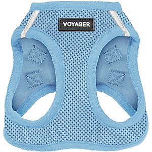 Best Pet Supplies Voyager Step-in Air Dog Harness, Baby Blue with Matching Trim, Small