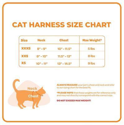 Show full view: Best Pet Supplies Voyager Step-in Air Dog Harness, Baby Blue with Matching Trim, Small slide 4 of 5