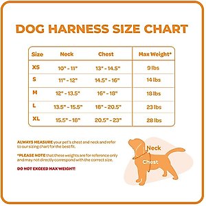 Best Pet Supplies Voyager Step-in Air Dog Harness, Fuchsia with Matching Trim, Medium