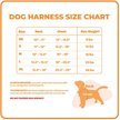 Show in main carousel: Best Pet Supplies Voyager Step-in Air Dog Harness, Orange Base, X-Small slide 4 of 5